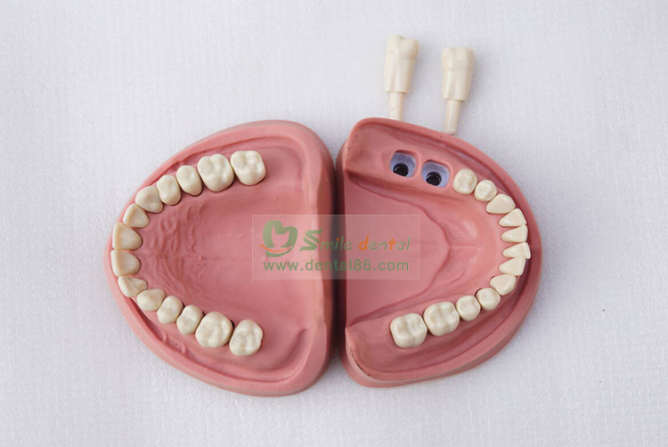 TM-A4 Standard Model, K Style